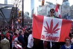 Канадские золотодобытчики займутся марихуаной