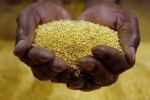 Добыча золота в ЮАР продолжит снижаться