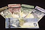 Зачем Канада использует банкноты из пластика?