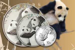 Серебряная монета Китая «Панда» 2023