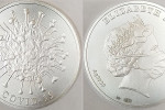 Памятный серебряный жетон «Коронавирус»