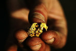 Рынок золота: добыча золота в ЮАР за июль 2020