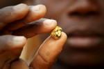 Гана хочет оплачивать нефть золотом, а не долларами