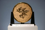 Золотая монета «Большой кленовый лист» весом 100 кг.