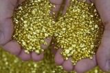 В 2012 г. холдинг «Искра» добыл более 500 кг золота