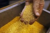 В Дагестане нашли запасы золота на 300 тонн