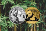 Китайская «Панда» отмечает 40-летний юбилей