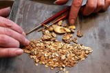 Рост добычи россыпного золота под Хабаровском в 2 раза