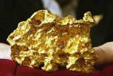 В Магадане может появиться биржа золотых самородков