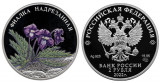 Серебряная монета «Фиалка надрезанная»