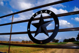 Сможет ли Техас выжить как независимое государство?
