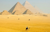WGC: Египет купил 44 тонны золота для резервов
