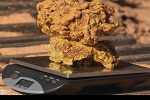 В Австралии нашли самородки золота массой 3,5 кг.