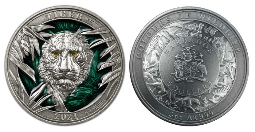 Выпуски серебряных монет. Монета тигр 2009 серебряная. Тигр с монетой. Монета тигр серебро. Тигренок с монетами.